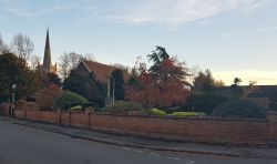 1. Remembrance Garden